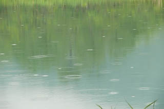 rain