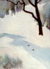 snowStanleyPark