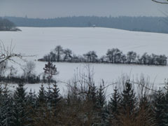 blackforest01