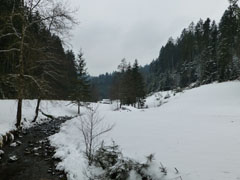 blackforest02