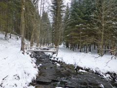 blackforest03