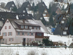 blackforest05