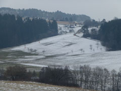 blackforest08
