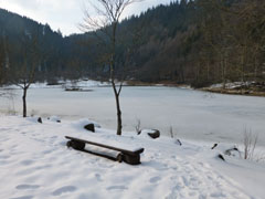 blackforest09