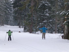blackforest12